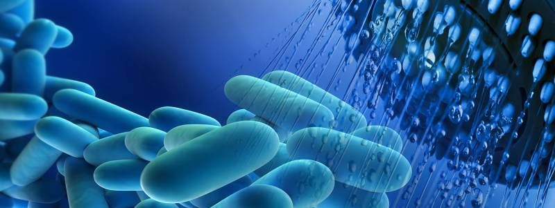 Legionella
